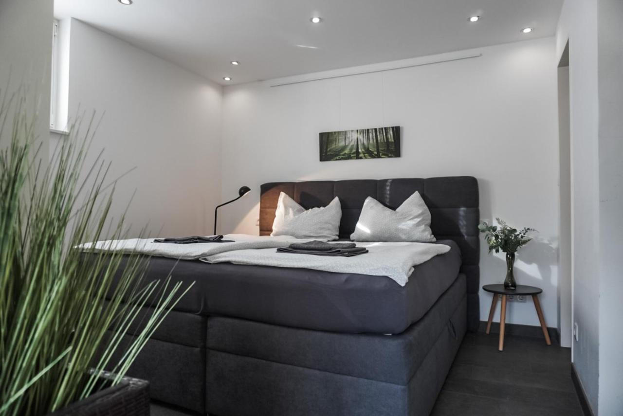 Neu Gebautes Apartment Mit Sonnenterasse In Der Naehe Vom Siebengebirge & Bonn Königswinter Eksteriør bilde